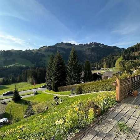 Chalet Du Moleson Γκρυγιέρ Εξωτερικό φωτογραφία