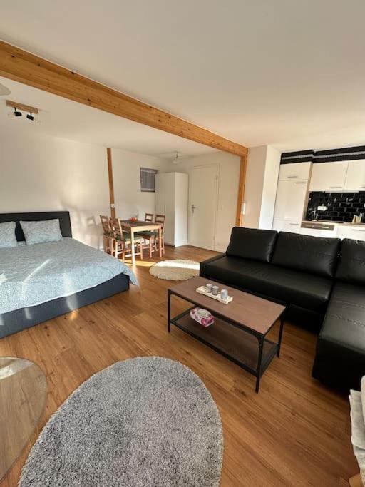 Chalet Du Moleson Γκρυγιέρ Εξωτερικό φωτογραφία